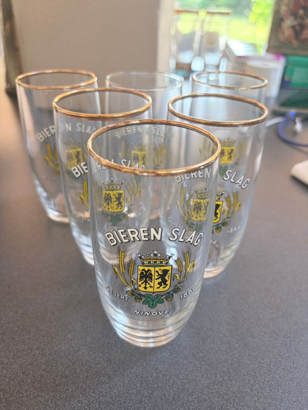 6 verres de « Bieres Slag Ninove », Collections, Verres & Petits Verres, Comme neuf, Enlèvement