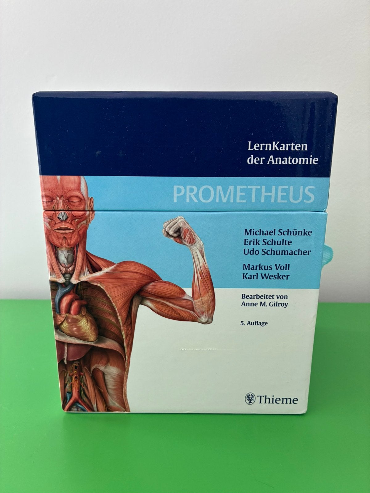 Prometheus anatomie Flashcards, Boeken, Ophalen, Zo goed als nieuw