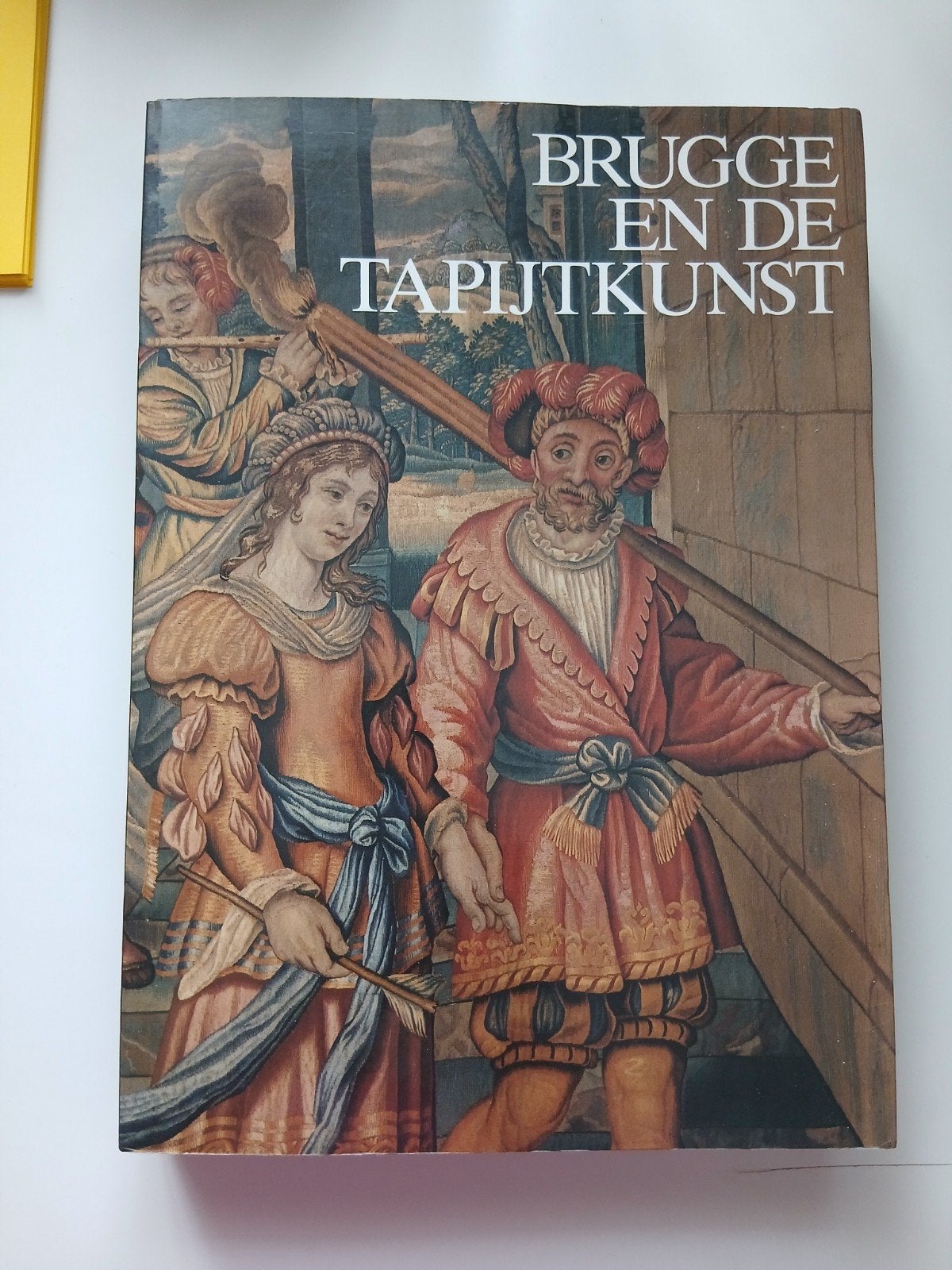 Bruges et l'art de la tapisserie, Livres, Enlèvement ou Envoi