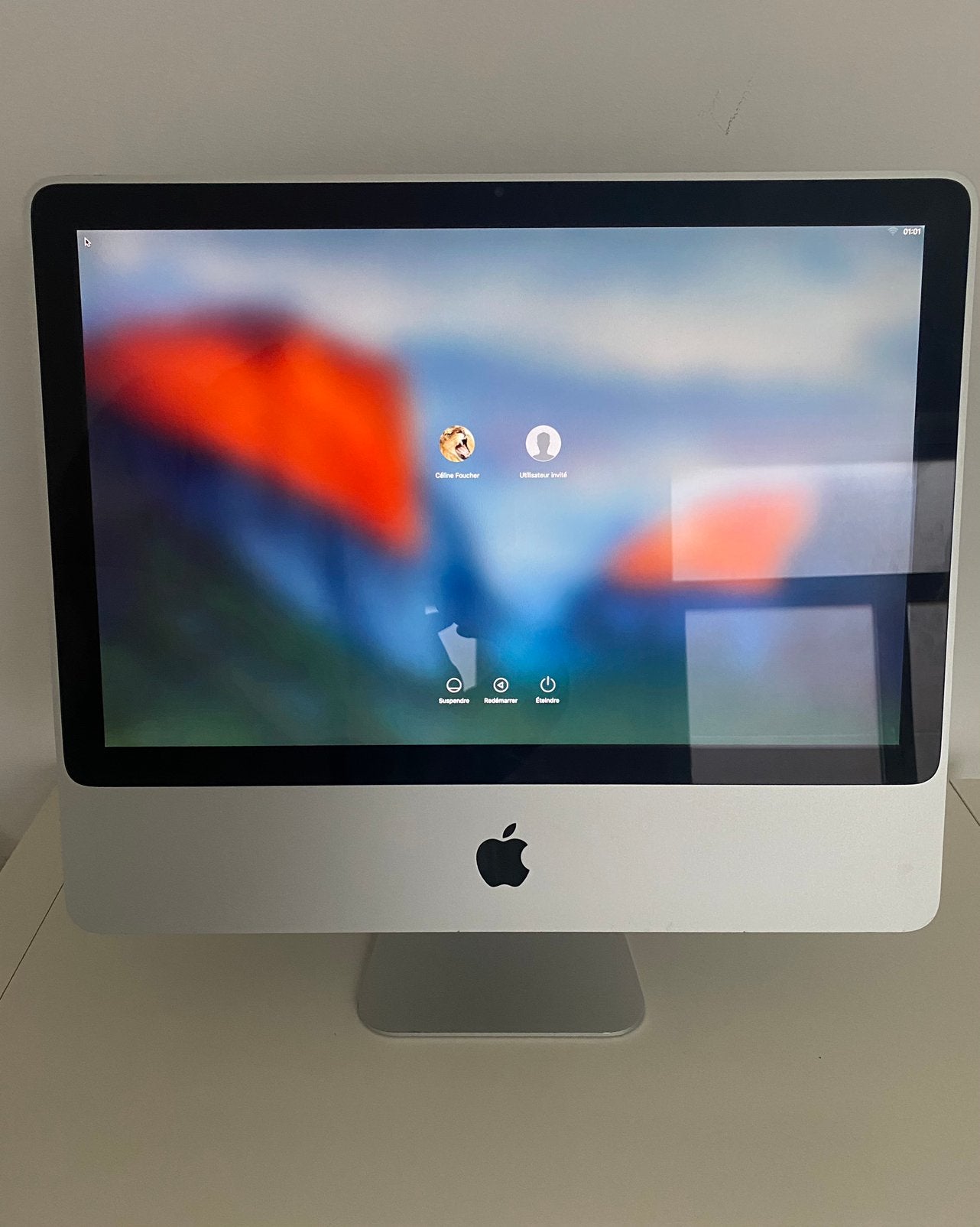 Apple iMac A1224, Enlèvement ou Envoi, Utilisé, IMac