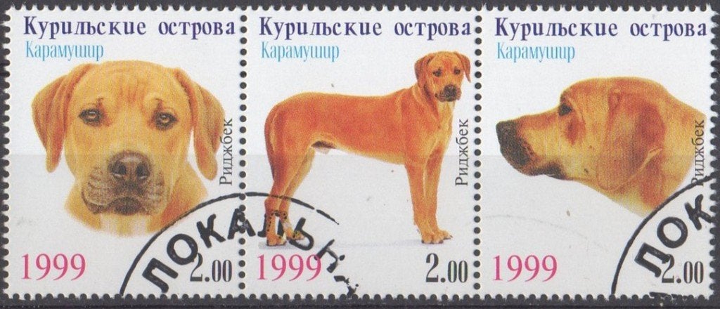 Koerilen - Honden - Rhodesian Ridgeback - Illegale uitgifte, Verzenden, Gestempeld