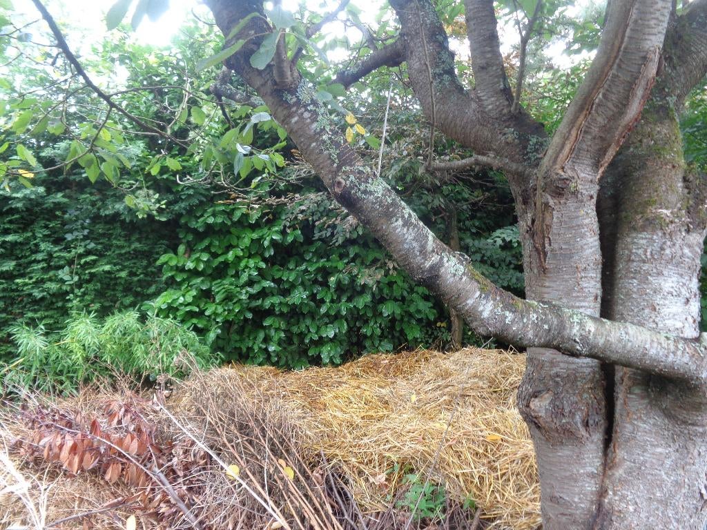 jardin, Enlèvement