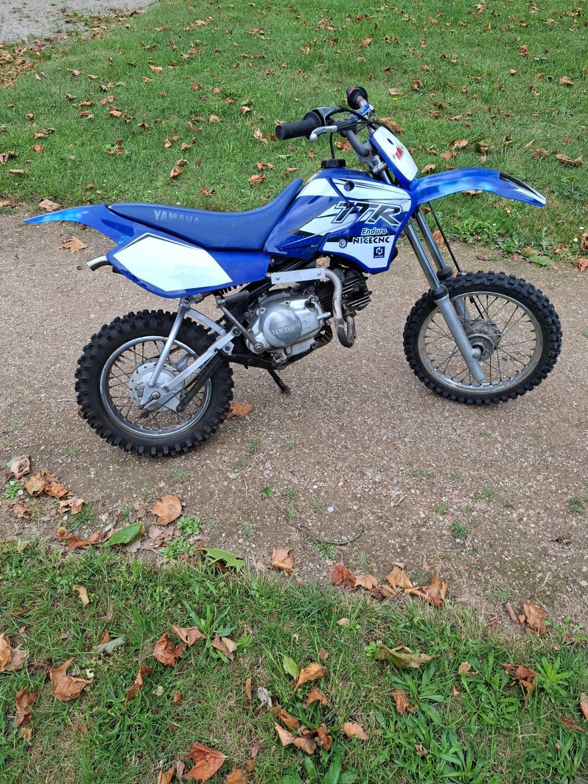 Yamaha ttr 90,pitbike, kindercrosser, Ophalen, Pitbike
