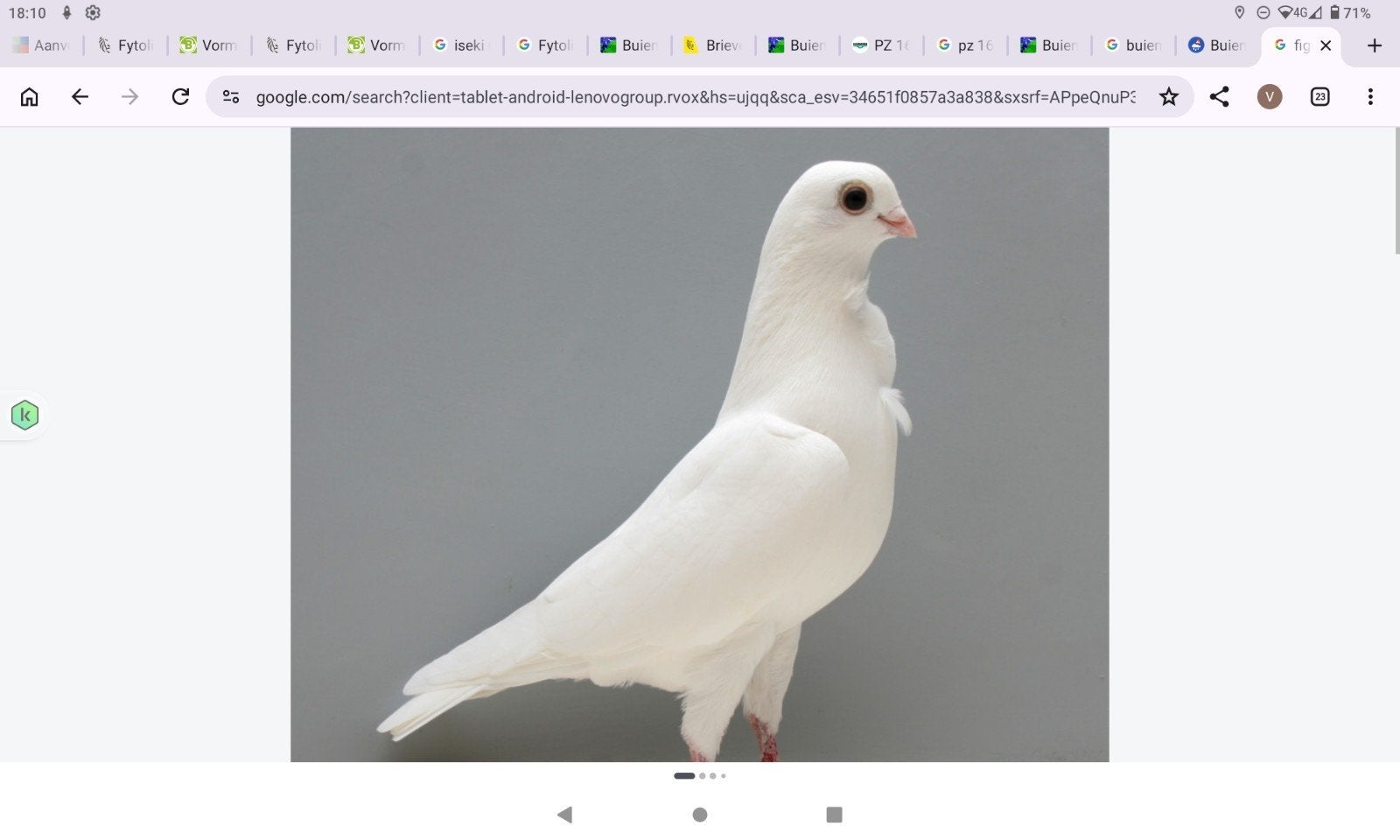 figurita  meeuw, Dieren en Toebehoren, Meerdere dieren, Overige soorten