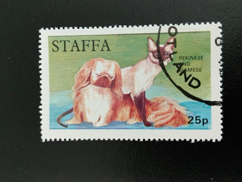 Staffa 1972 - chiens, chats, Timbres & Monnaies, Timbres | Europe | Royaume-Uni, Envoi, Affranchi