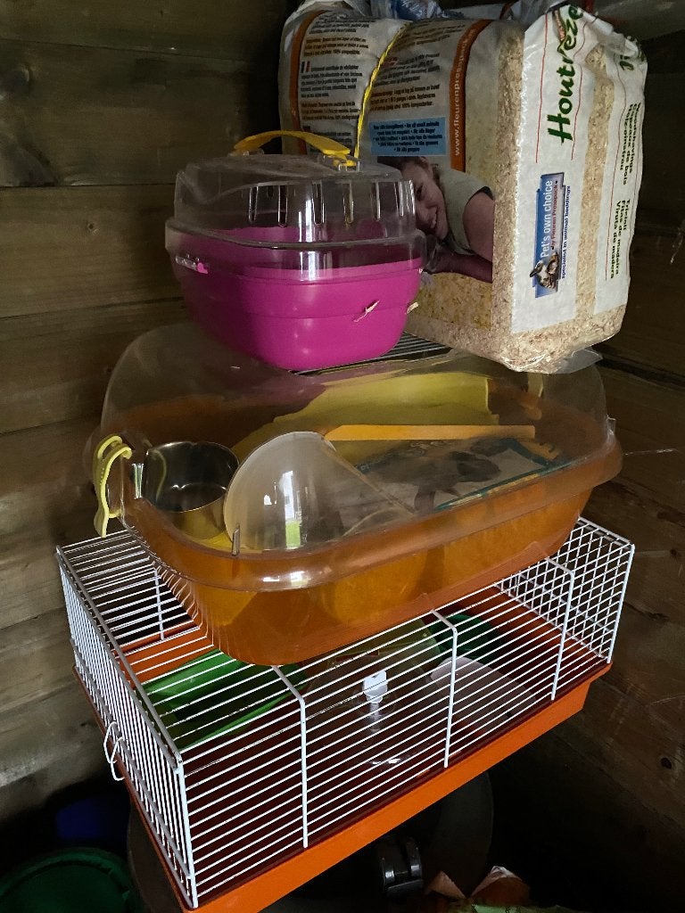 Hamster kooi en toebehoren, Dieren en Toebehoren, Ophalen, Gebruikt, Kooi, Hamster