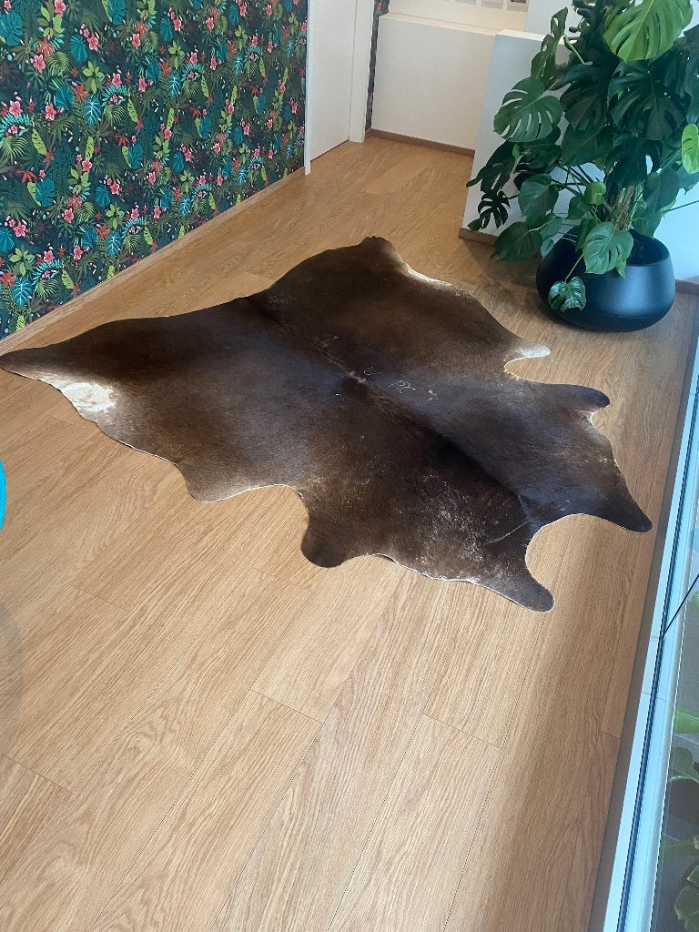 Véritable peau de vache marron – tapis décoratif, Enlèvement, Utilisé, Brun