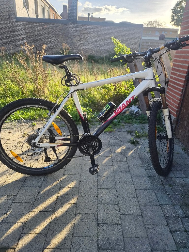 Vélo de montagne géant, Giant, Enlèvement, Utilisé, Hommes