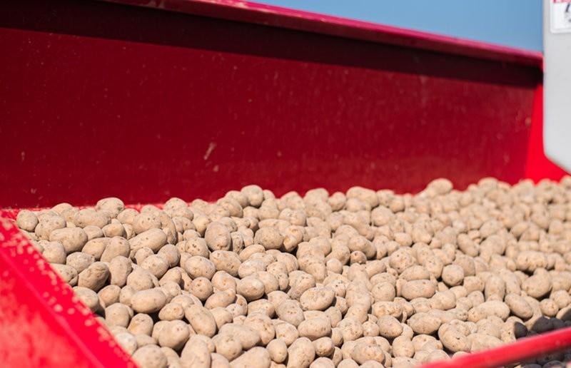 pootgoed fontane, Ophalen