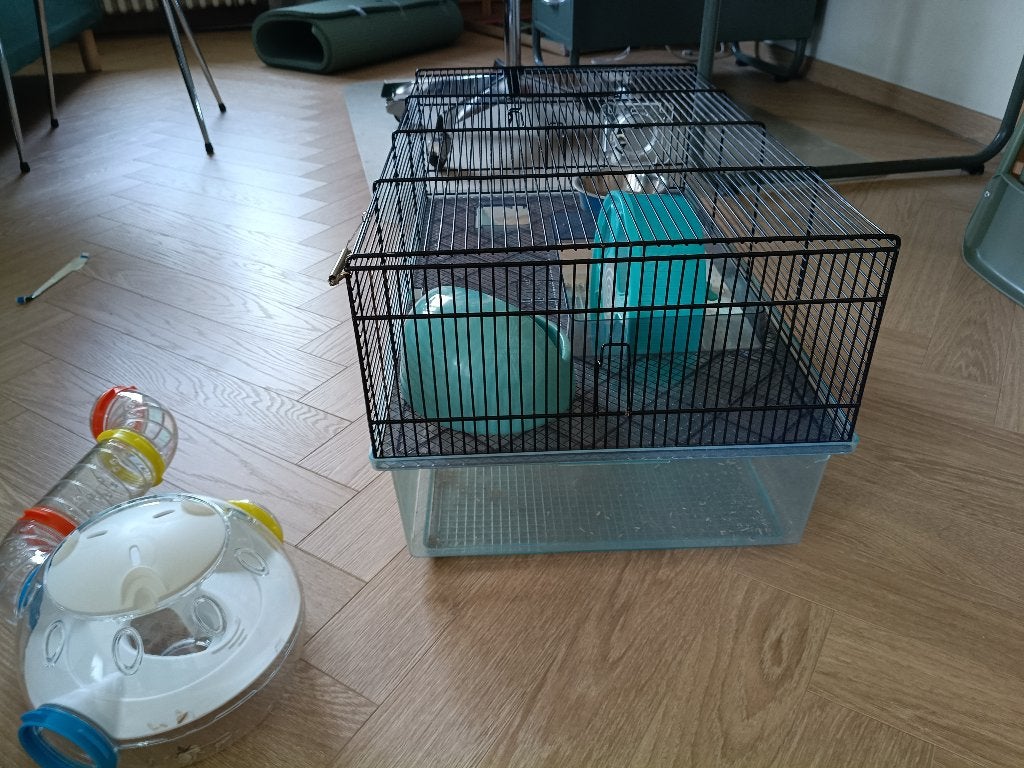 cage ferplast, roue et bac pour hamster nain, Animaux & Accessoires, Enlèvement, Utilisé, Autres types