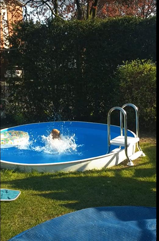 zwembad 3 m diameter 1.2 m diep, Gebruikt, 200 tot 300 cm, Rond, Opzetzwembad