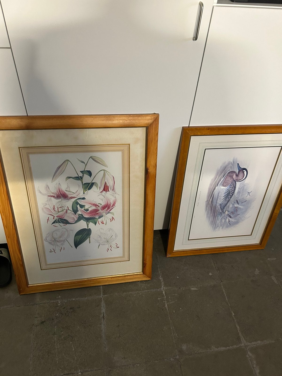 2x schilderij, Huis en Inrichting, Woonaccessoires | Lijsten, Ophalen, Gebruikt