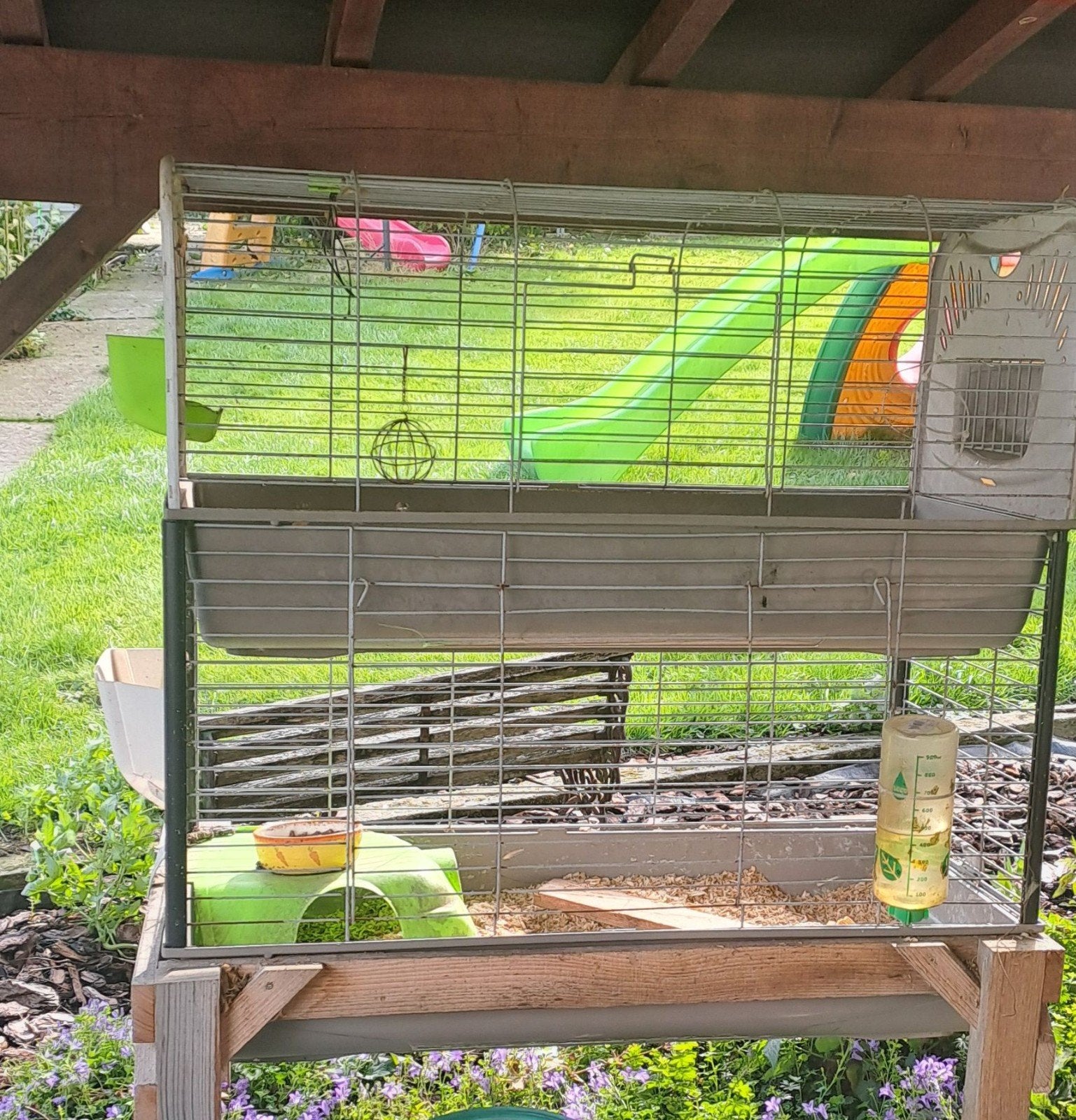 cage cobayes, lapin, Enlèvement, Cage, Lapin