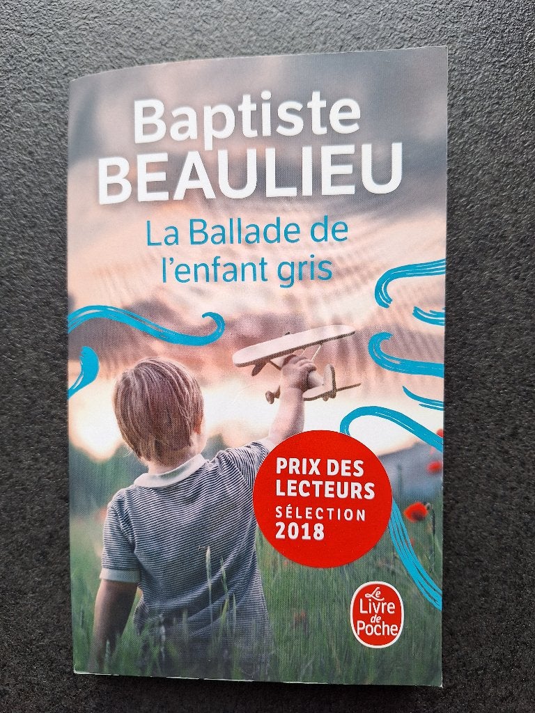 La ballade de l'enfant gris - Baptiste Beaulieu, Boeken, Ophalen, Zo goed als nieuw, Baptiste Beaulieu