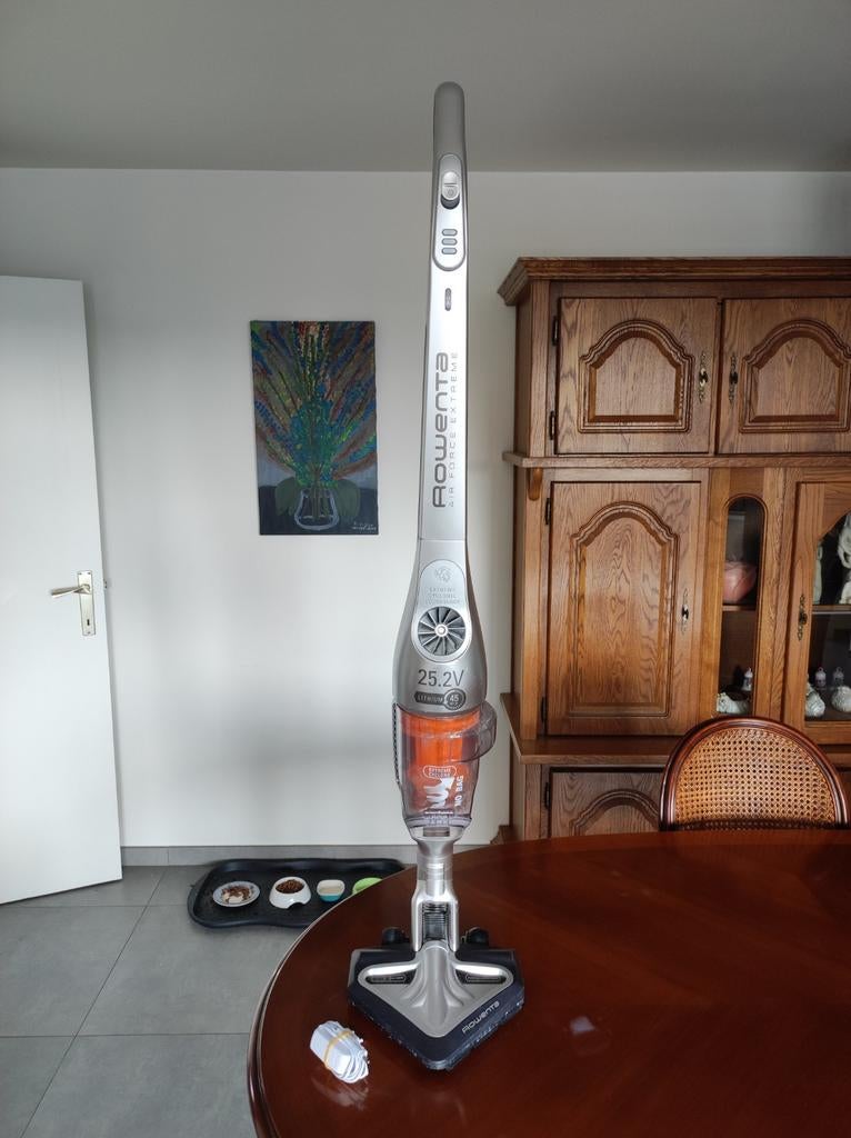 L'aspirateur Rowenta, fonctionne bien., Electroménager, Enlèvement, Utilisé, Réservoir, Aspirateur