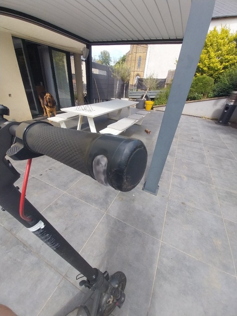Trotinette ninebot f2 pro 2, Fietsen en Brommers, Ophalen, Gebruikt, Overige typen, Segway Ninebot