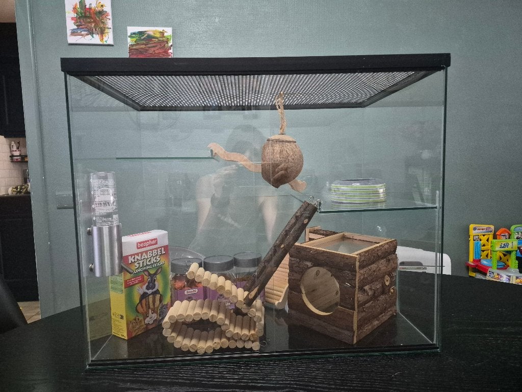 Glazen Gerbilkooi /hamsterkooi, Animaux & Accessoires, Rongeurs & Lapins | Cages & Clapiers, Moins de 60 cm, Cage, Utilisé, Rat