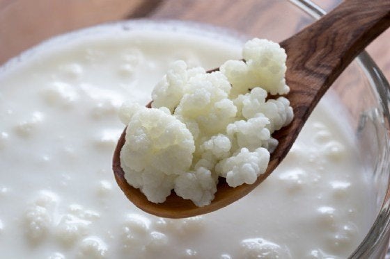 Melkkefir - Yoghurtbloemetjes, Diversen, Ophalen of Verzenden