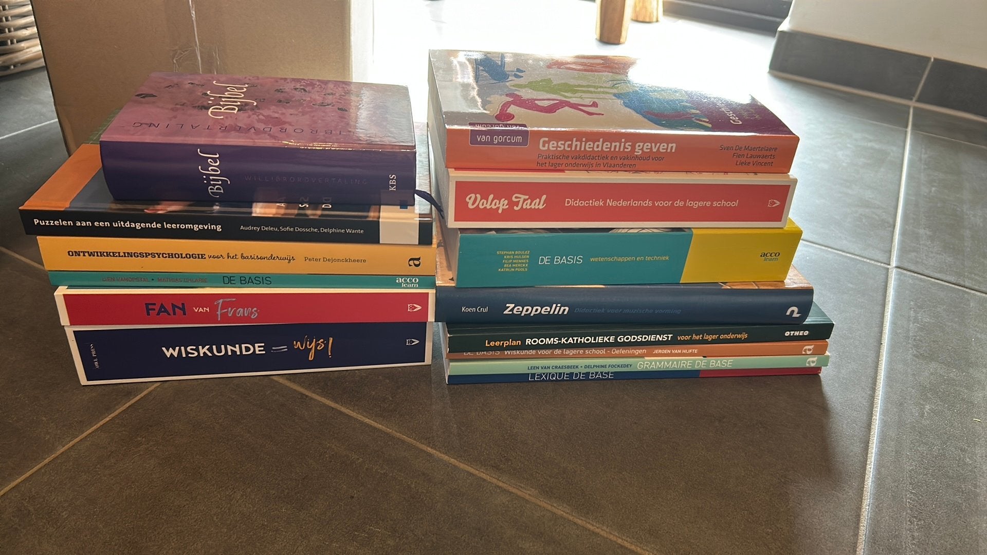 Schoolboeken educatieve bachelor lager onderwijs, Boeken, Ophalen, Zo goed als nieuw, Hogeschool