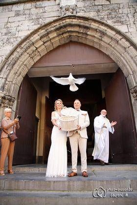 🕊 Lâcher de colombe - mariage, cérémonie 🕊, Animaux & Accessoires, Enlèvement, Neuf