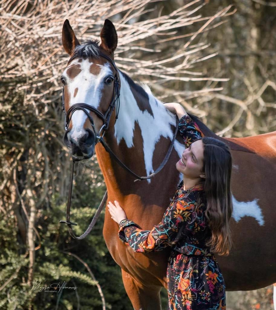 Prachtige allround merrie, Dieren en Toebehoren, Paarden, Merrie, Z, 11 jaar of ouder