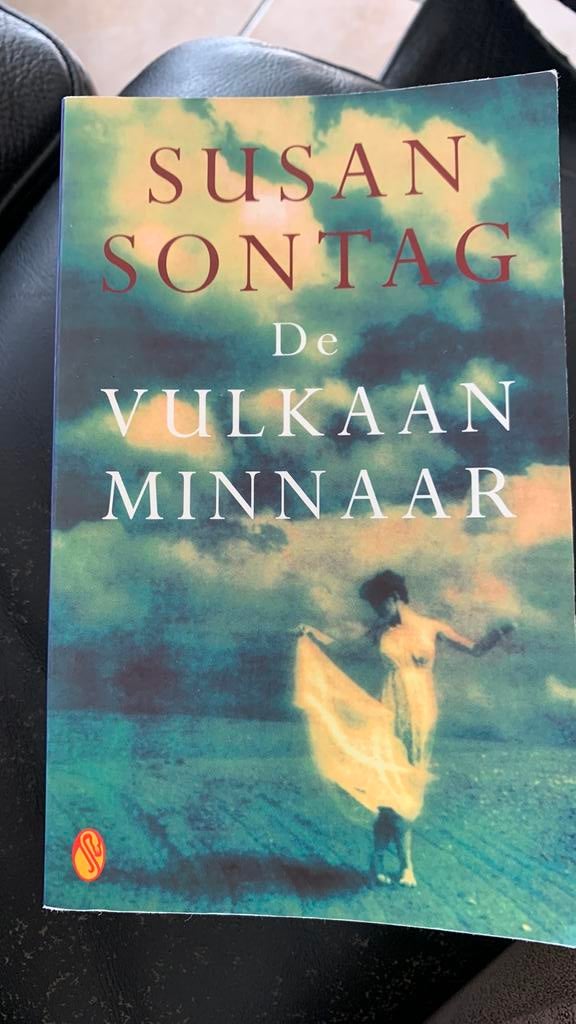 Susan Sontag - De vulkaanminnaar, Boeken, Ophalen, Susan Sontag