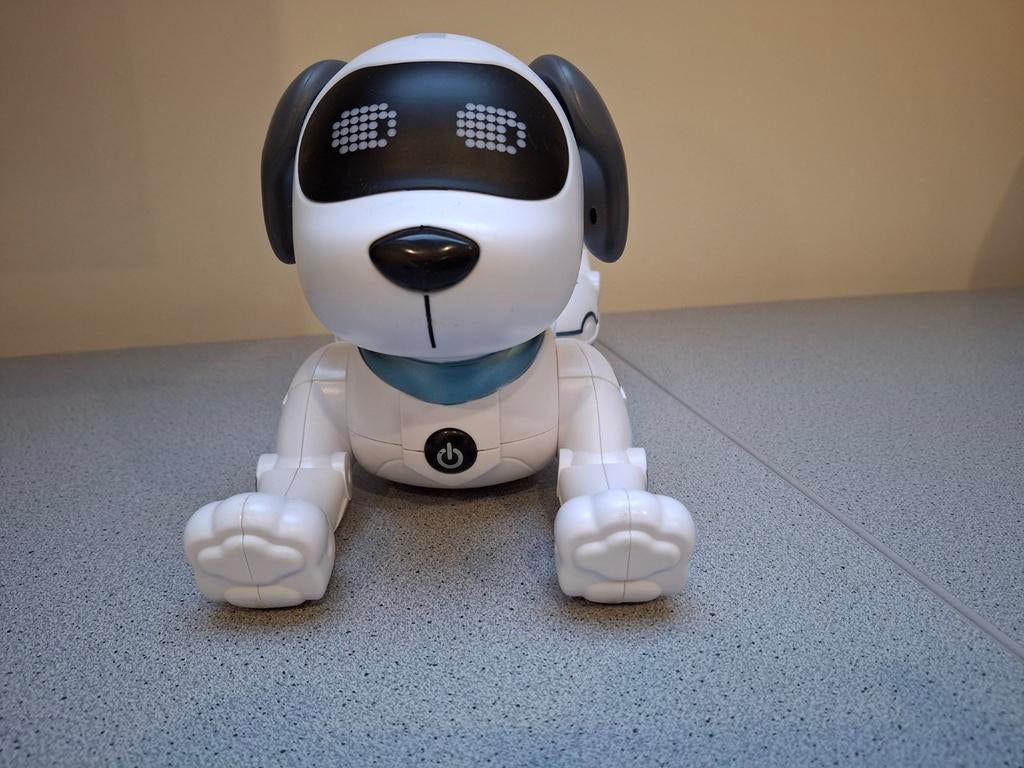 Robot stunt hond, Ophalen