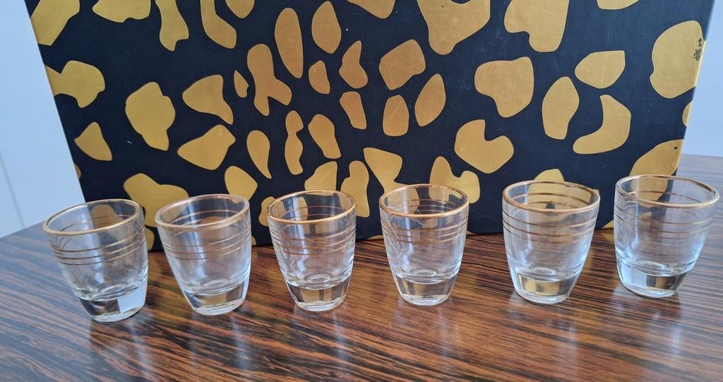 6 shot shotglaasjes jenever jeneverglaasjes glas, Ophalen of Verzenden, Gebruikt