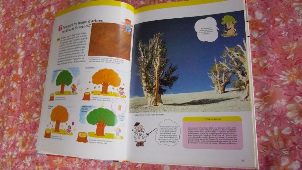 Les Fleurs et Les Arbres - Beau livre éducatif en français, Livres, Livres pour enfants | Jeunesse | 10 à 12 ans, Comme neuf, Non-fiction