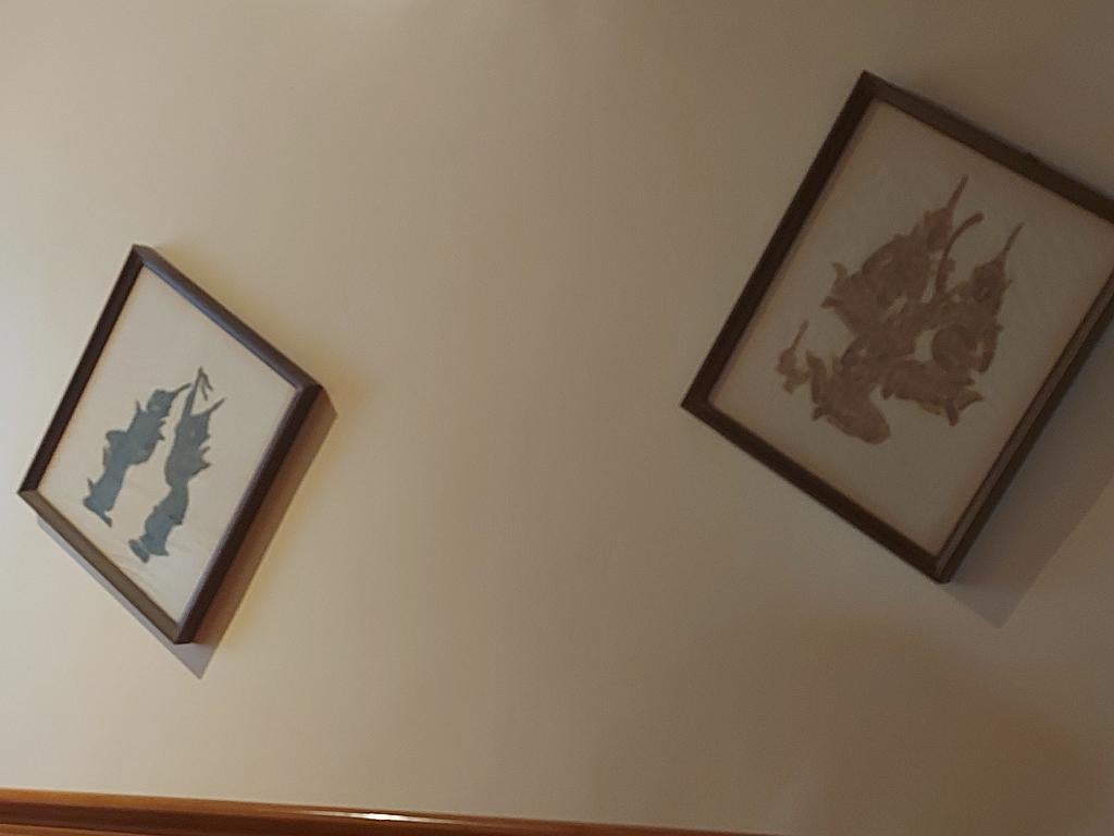 2 indische tekeningen in kader, Antiek en Kunst, Kunst | Tekeningen en Fotografie, Ophalen