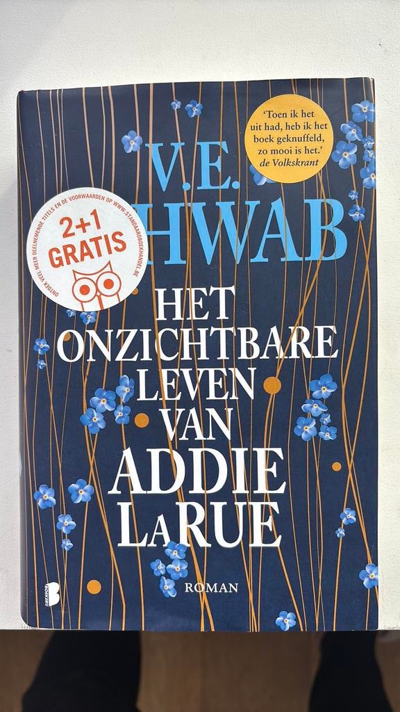V.E. Schwab - Het onzichtbare leven van Addie LaRue, Enlèvement, V.E. Schwab