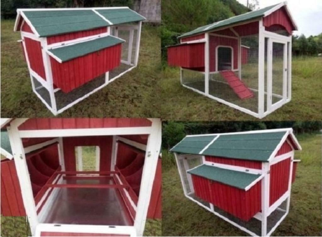 Poulailler XXL 12 Poules abri poule caille volaille clapier, Animaux & Accessoires, Volatiles | Accessoires, Neuf, Poulailler