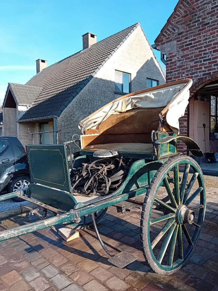 Patins de type calèche, Utilisé, Autres types, Cheval