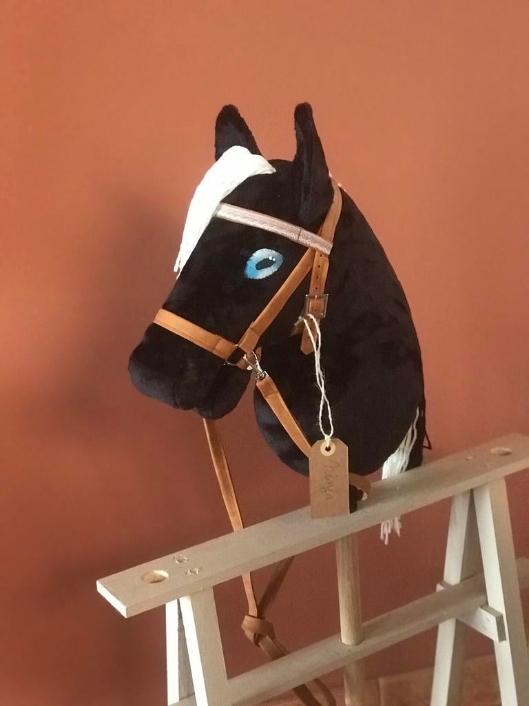 Ninja Hobby Horse, Hobby en Vrije tijd, Ophalen of Verzenden, Nieuw