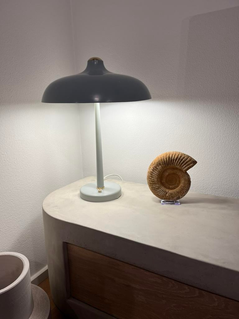 VEB paddestoel lamp Rudolf Lutz 1960s, Ophalen