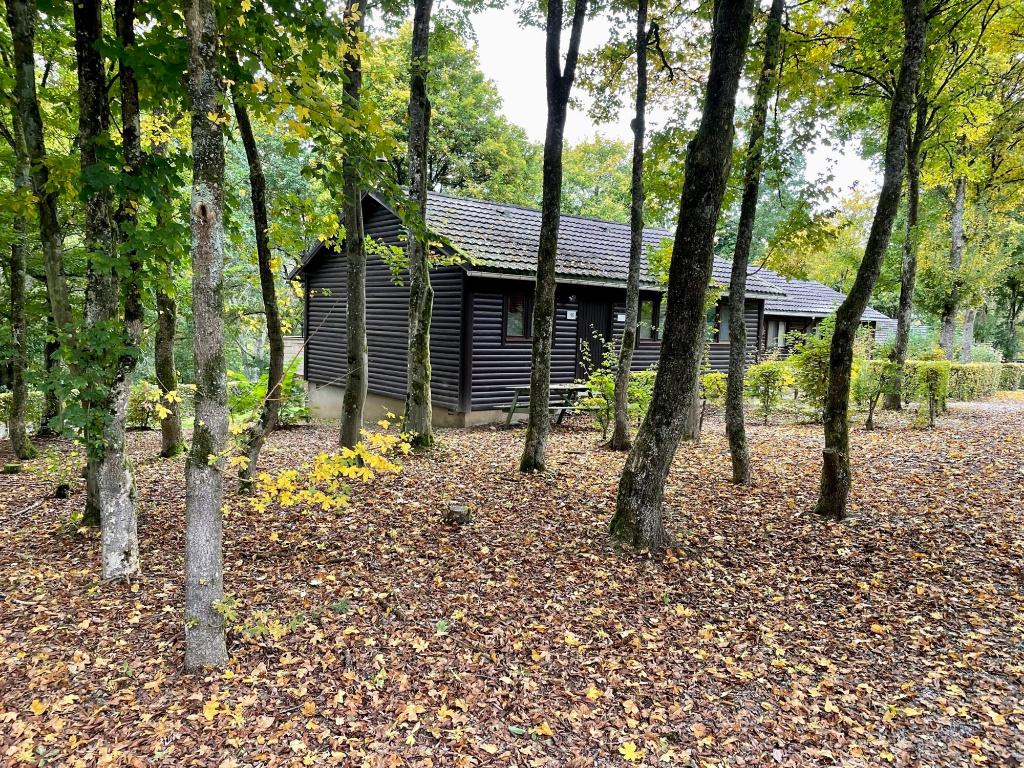 *** Cabane Castor - chalet in Rendeux ***, Propriétaire, Parc de loisirs, Lac ou rivière, 5 personnes