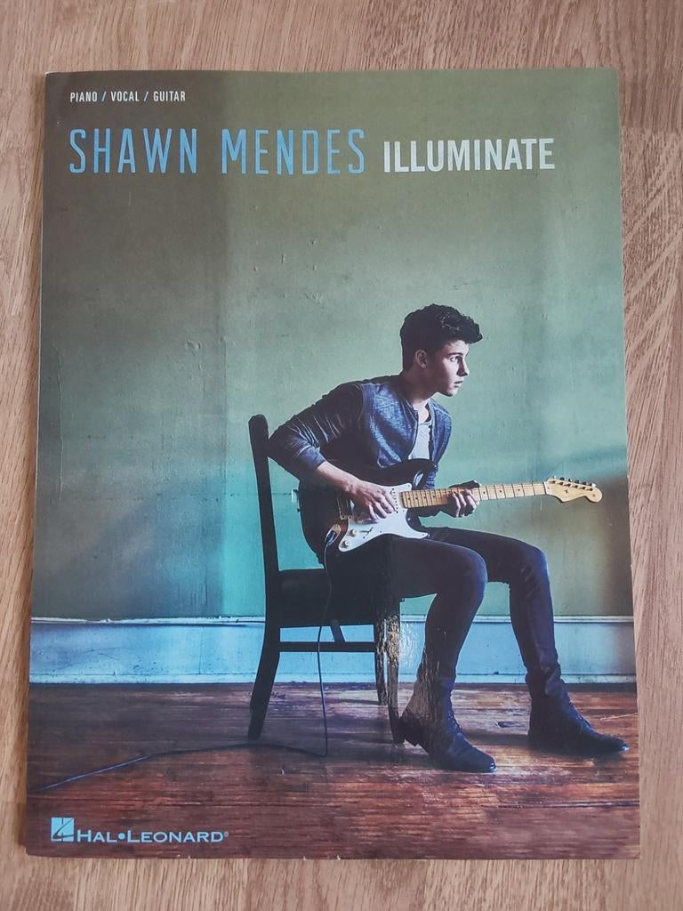 Livre partitions Shawn Mendes, Musique & Instruments, Guitare