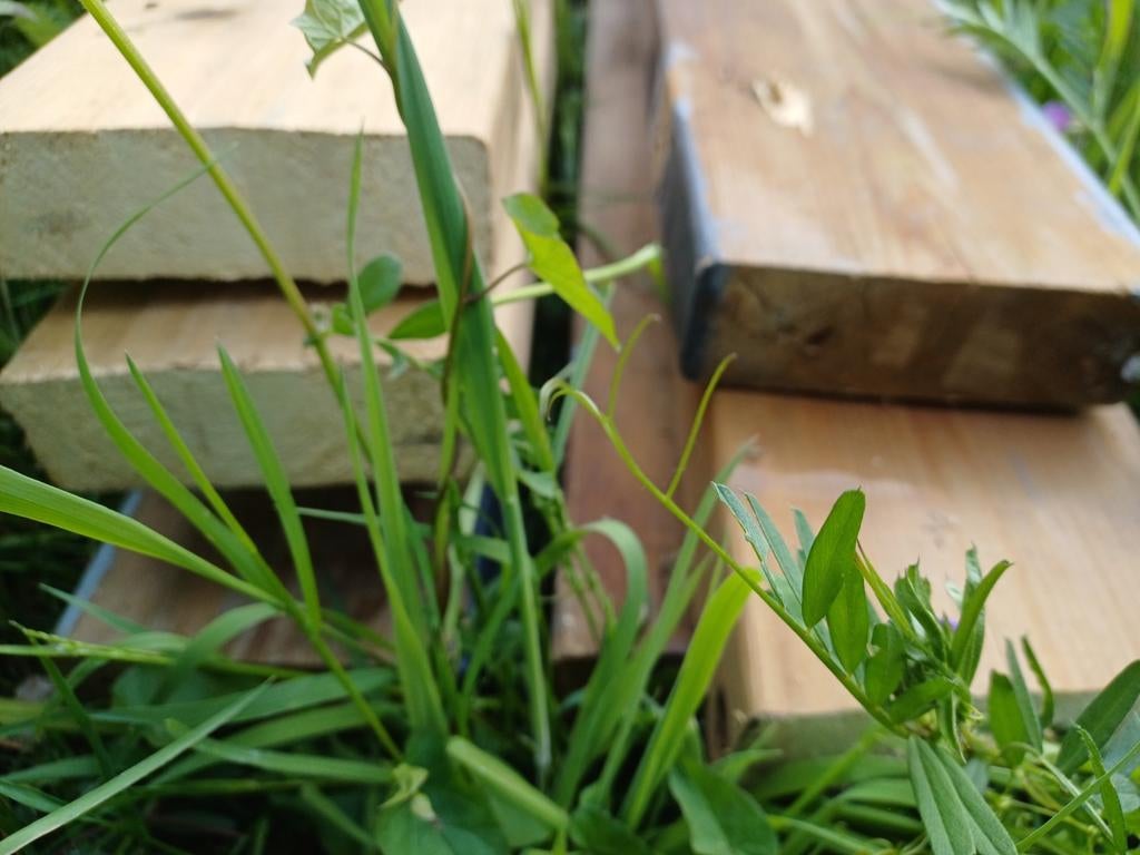 les poutres en bois (10 pièces par 3 mètres) mesurent 45x140, Enlèvement ou Envoi, Comme neuf, Poutres