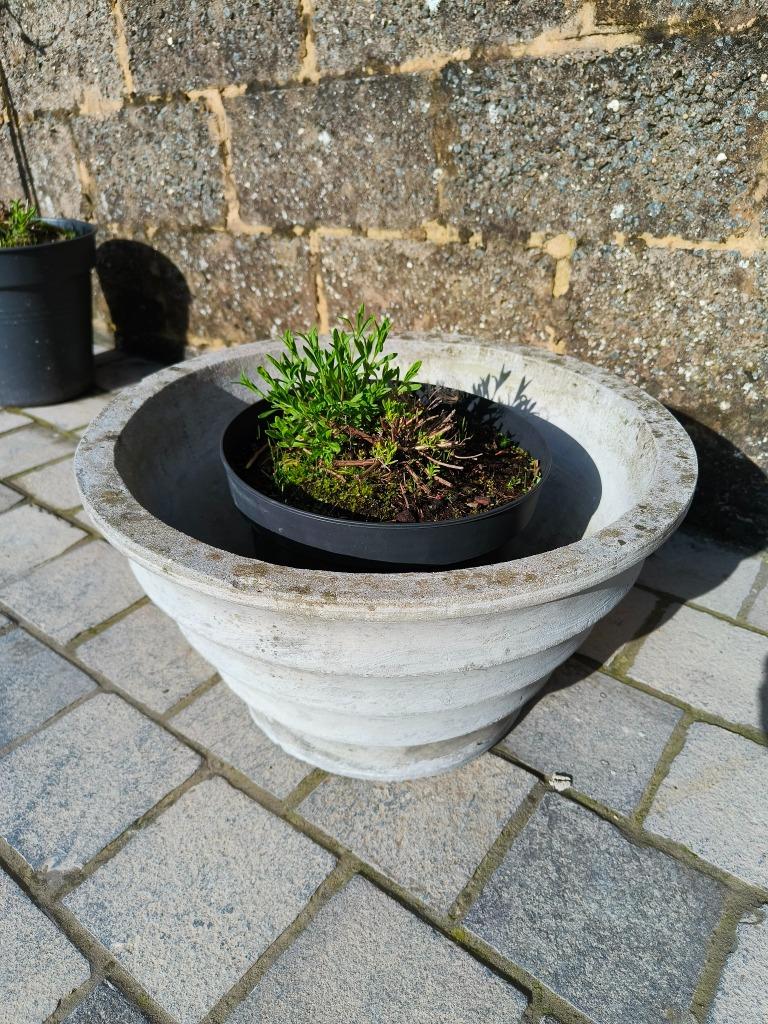 Sier bloempot te koop, Ophalen, 40 cm of meer, Rond, Zo goed als nieuw