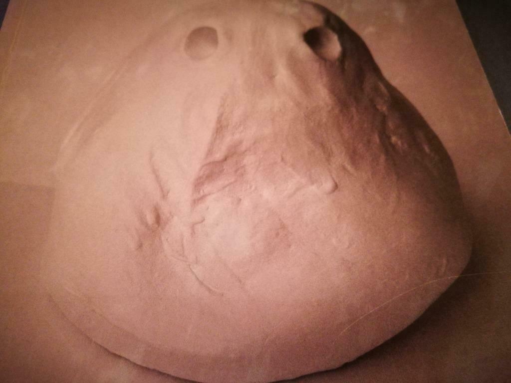 Valérie Mannaerts Rosler Sekula 330pag artistbook, Ophalen of Verzenden, Zo goed als nieuw, Schilder- en Tekenkunst