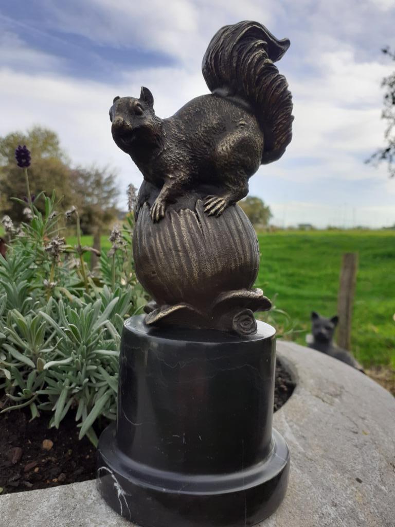 SCHITTEREND DIERENBRONS (de eekhoorn), Ophalen of Verzenden, Brons