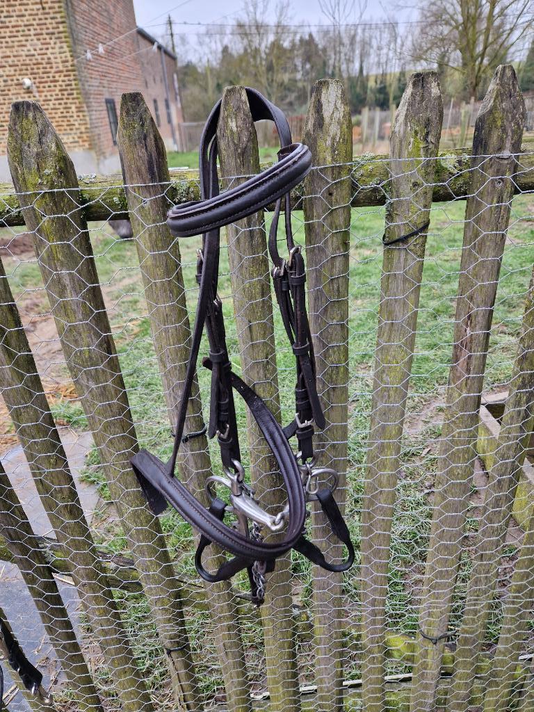 Pony kopstuk & martingale, Dieren en Toebehoren, Ophalen of Verzenden, Gebruikt