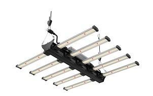 Box culture + efficiënte ledlampen
