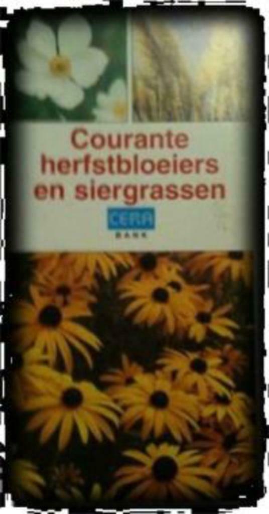 Courante herfstbloeiers en siergassen, Cera, Ophalen of Verzenden, Gelezen, Bloemen, Planten en Bomen