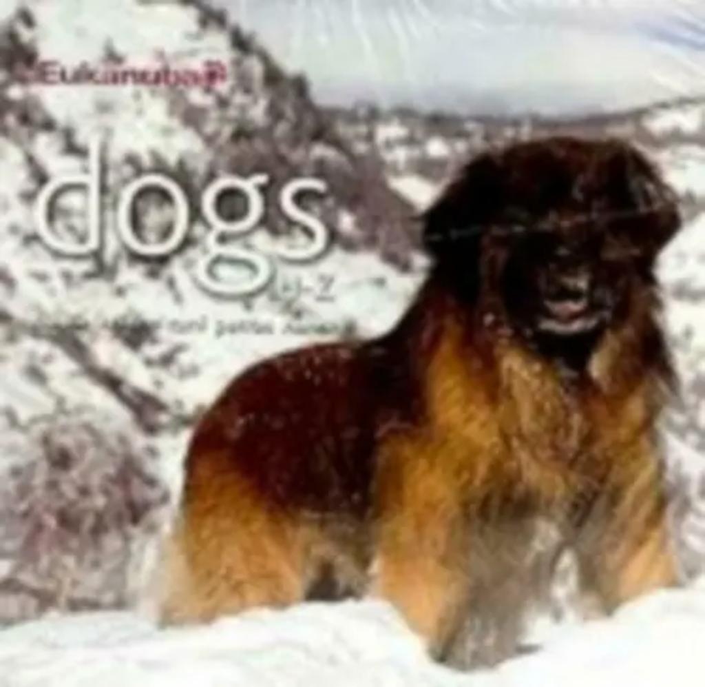 Chiens H-Z / Chiot / Eukanuba / à partir de 1 euro, Enlèvement ou Envoi, Comme neuf, Chiens