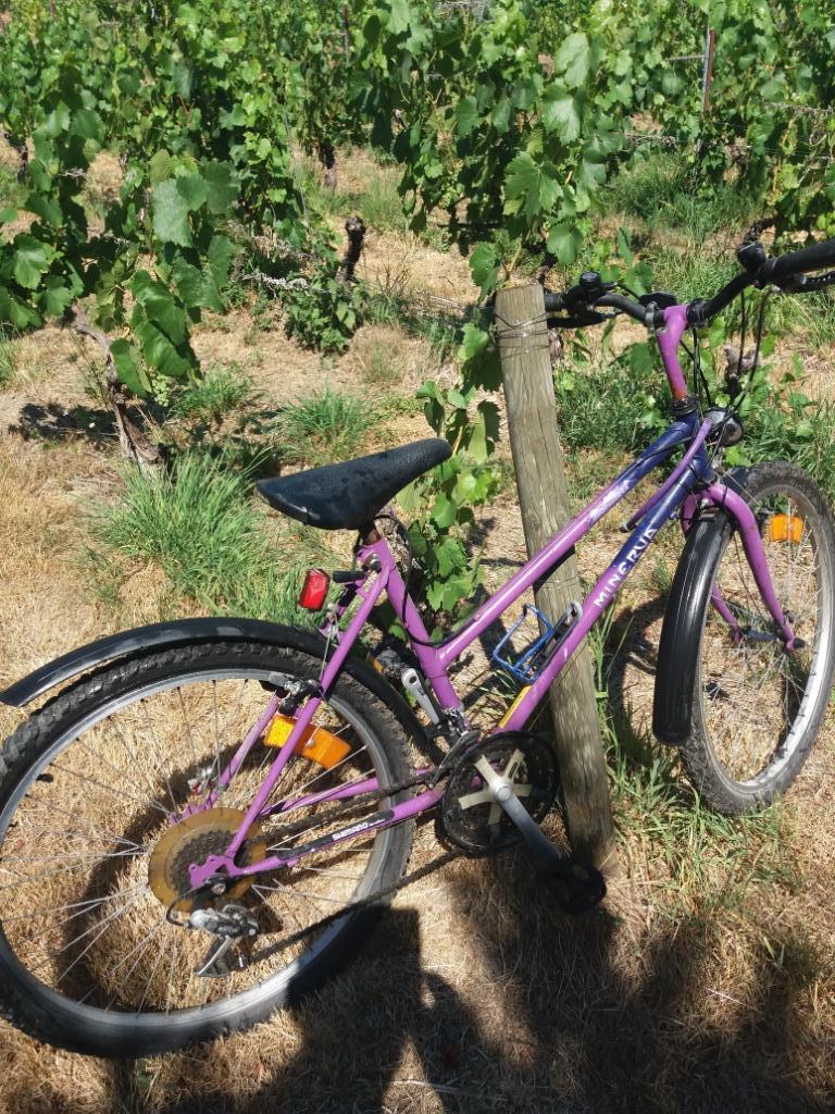 Vélo Filles +/- 10 ans, Enlèvement, Utilisé, Minerva