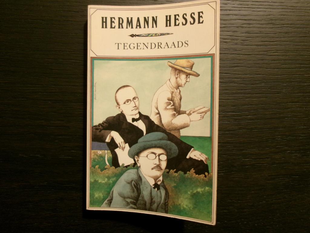 Tegendraads  -Herman Hesse-, Boeken, Ophalen of Verzenden