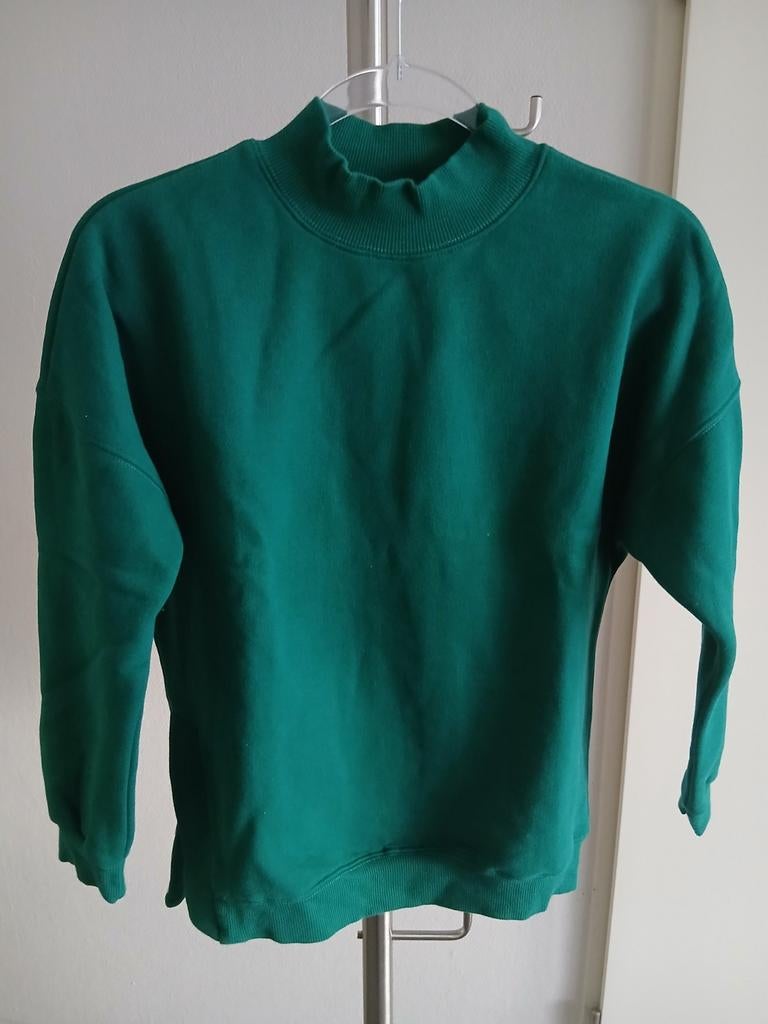 Fleece sweater/hoodie/trui meisjes, groen, maat 164, Ophalen, Zo goed als nieuw, Meisje, Trui of Vest