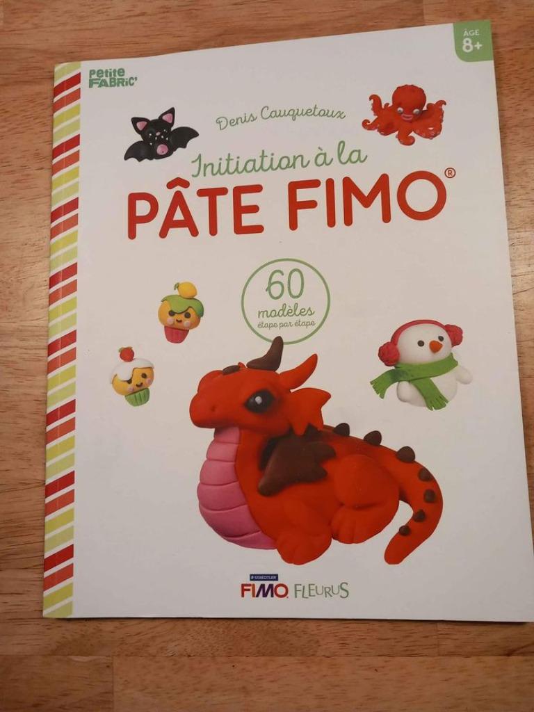 Livre Initiation A La Pate Fimo, Enlèvement ou Envoi, Neuf