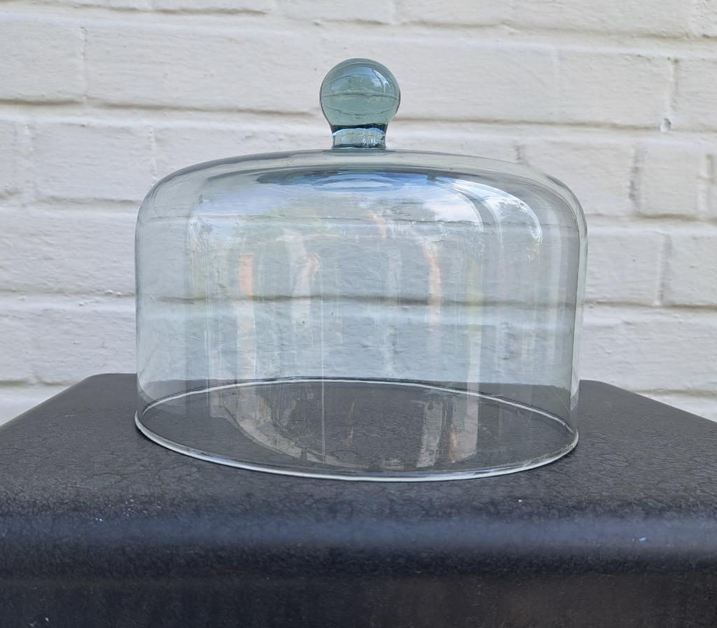 glazen kaasstolp, Ophalen of Verzenden, Zo goed als nieuw, Glas, Overige typen